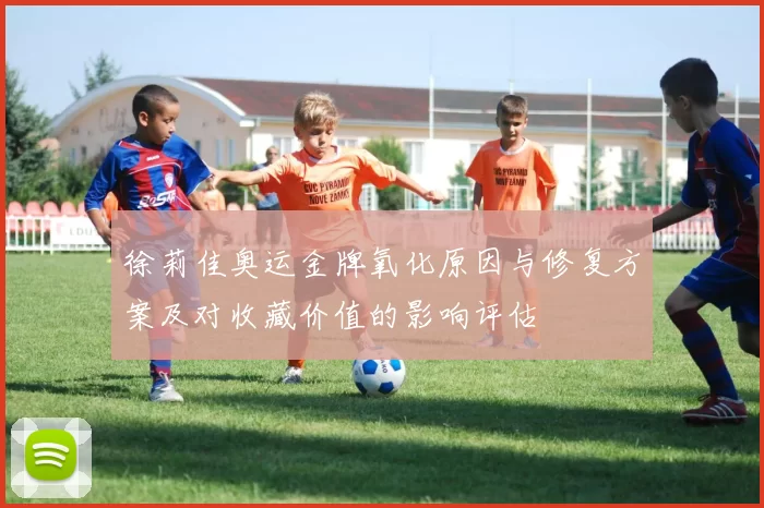 徐莉佳奥运金牌氧化原因与修复方案及对收藏价值的影响评估