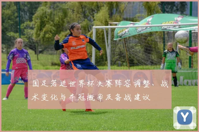 国足若进世界杯决赛阵容调整、战术变化与夺冠概率及备战建议